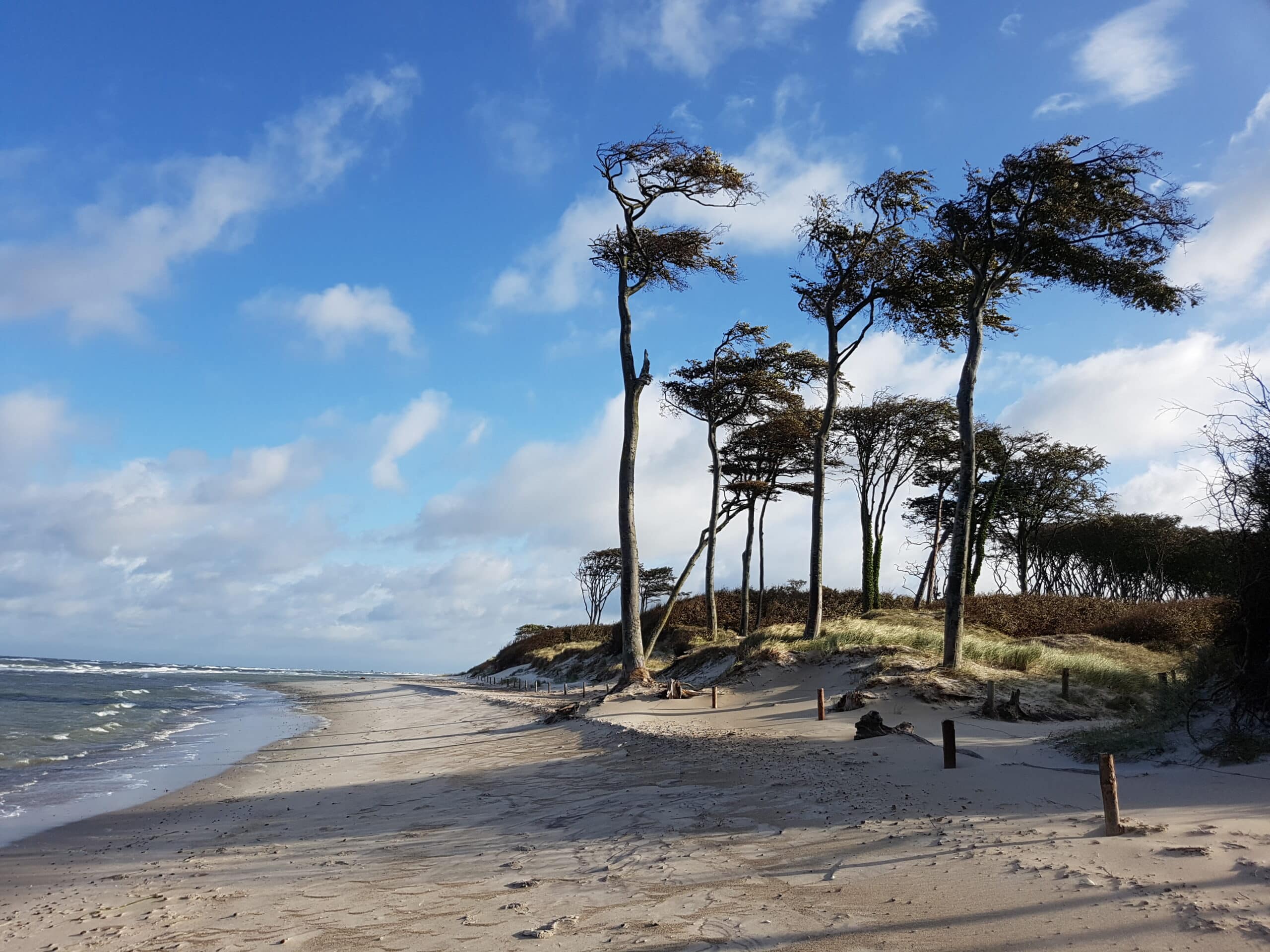 Waldsiedlung – Außenansicht